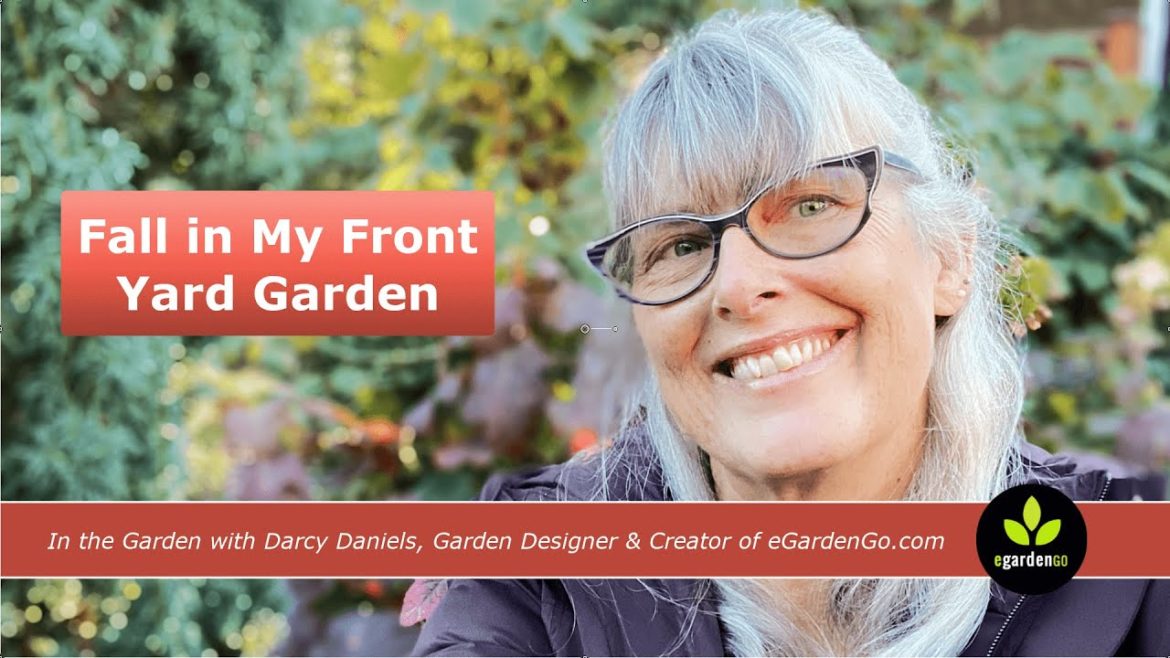 Fall Color in My Front Yard Garden in Portland Fall Color in My Front Yard Garden in Portland