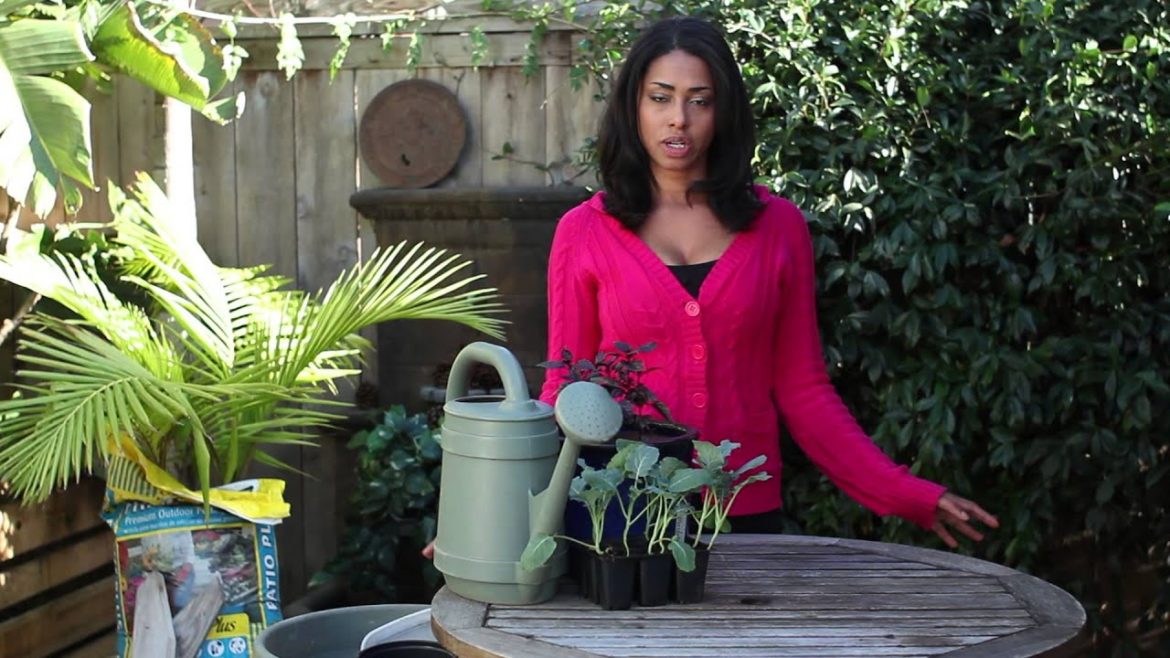 How to Prepare a Large Pot for a Container Garden : Around the Garden
