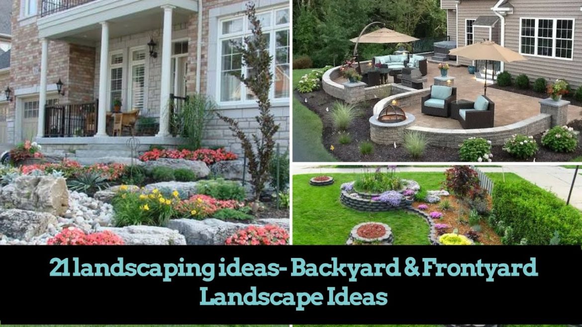 🌺21 DIY landscaping ideas- Backyard & Front yard Landscape Ideas| Home decor | Flamingo mango |🌺 🌺21 DIY landscaping ideas- Backyard & Front yard Landscape Ideas| Home decor | Flamingo mango |🌺