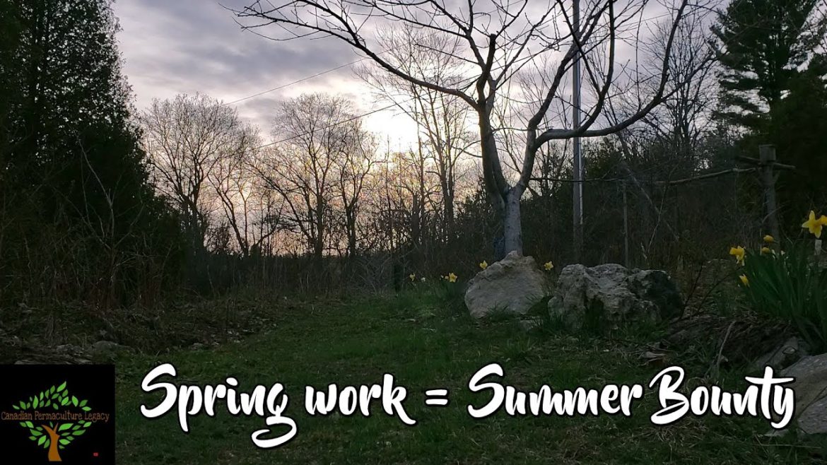 Now is the time of the gardening season where every minute matters in the food forest.