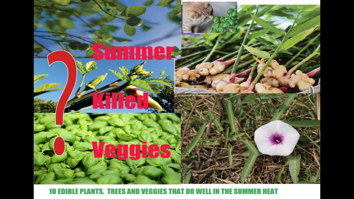 10 EDIBLES THAT DO WELL UNDER INTENSE SUMMER HEAT