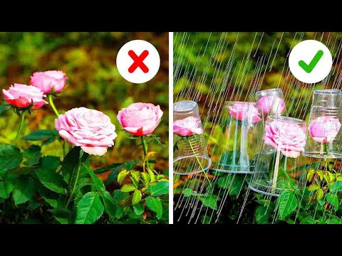 35 Genius Hacks For Your Home And Garden 35 Genius Hacks For Your Home And Garden