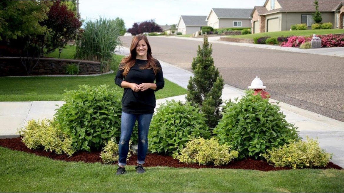 Landscape Makeover–Two Years Later Landscape Makeover--Two Years Later