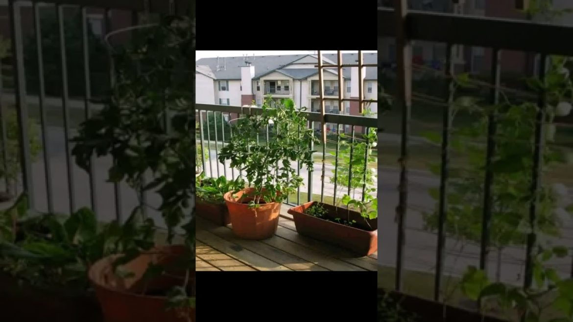 Landscape Desing ideas Best ideas for  garden and landscape #230 #shorts 50