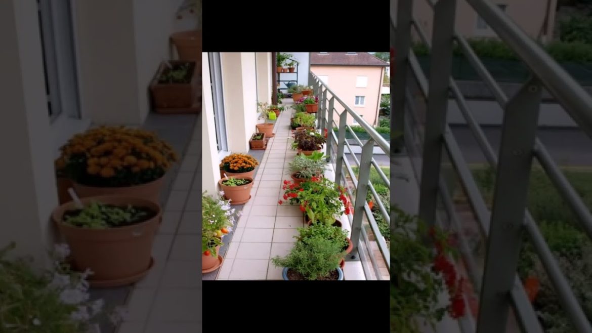 Landscape Desing ideas Best ideas for garden and landscape #230 #shorts 46 Landscape Desing ideas Best ideas for garden and landscape #230 #shorts 46