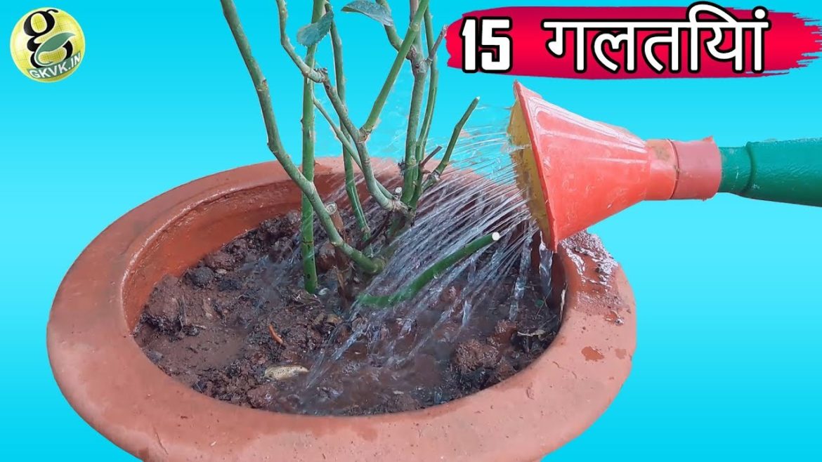 इन 15 गलतियां को मत करो और परिणाम देखें | Gardening Tips Hindi इन 15 गलतियां को मत करो और परिणाम देखें | Gardening Tips Hindi