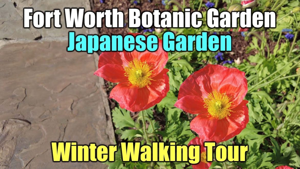 Fort Worth Botanic Garden & Japanese Garden Winter Walking Tour #FortWorthBotanicGarden #Japanese Fort Worth Botanic Garden & Japanese Garden Winter Walking Tour #FortWorthBotanicGarden #Japanese