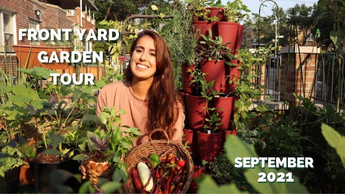 NYC FRONT YARD GARDEN TOUR | September 2021 | Vegetable Urban Garden | Mari's Garden and Kitchen
