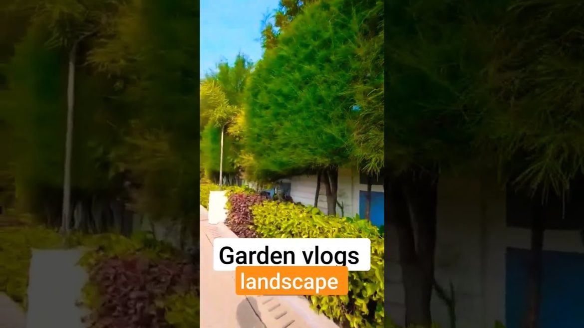 garden landscaping ideas diy #shorts garden landscaping ideas diy #shorts