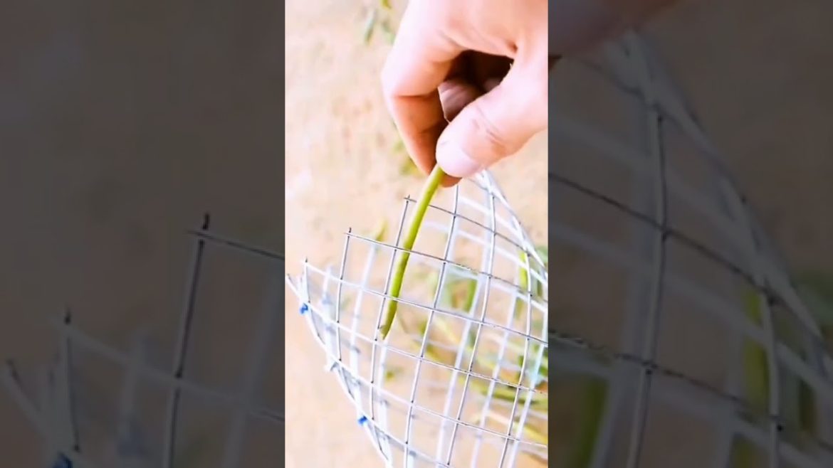 do you like this gardening idea #shorts #gardenlife #viralshorts