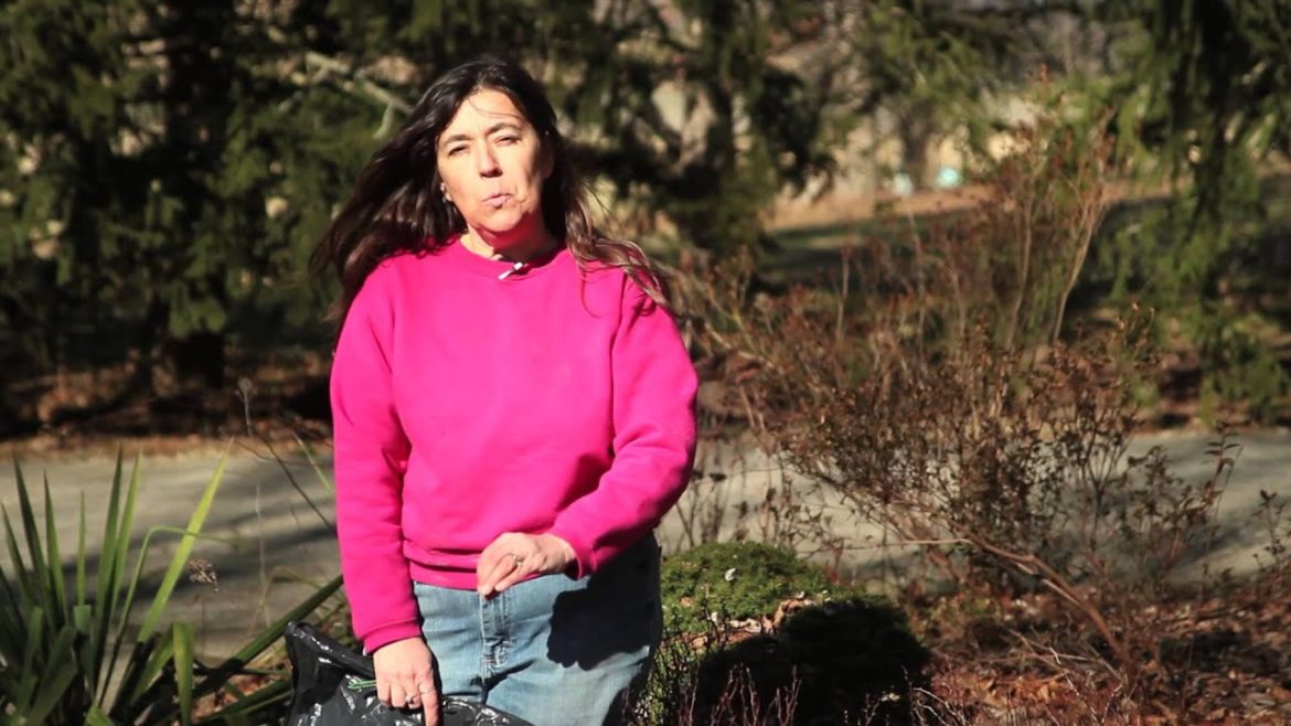 How to Use Black Plastic in a Garden : Gardening Tips & Advice