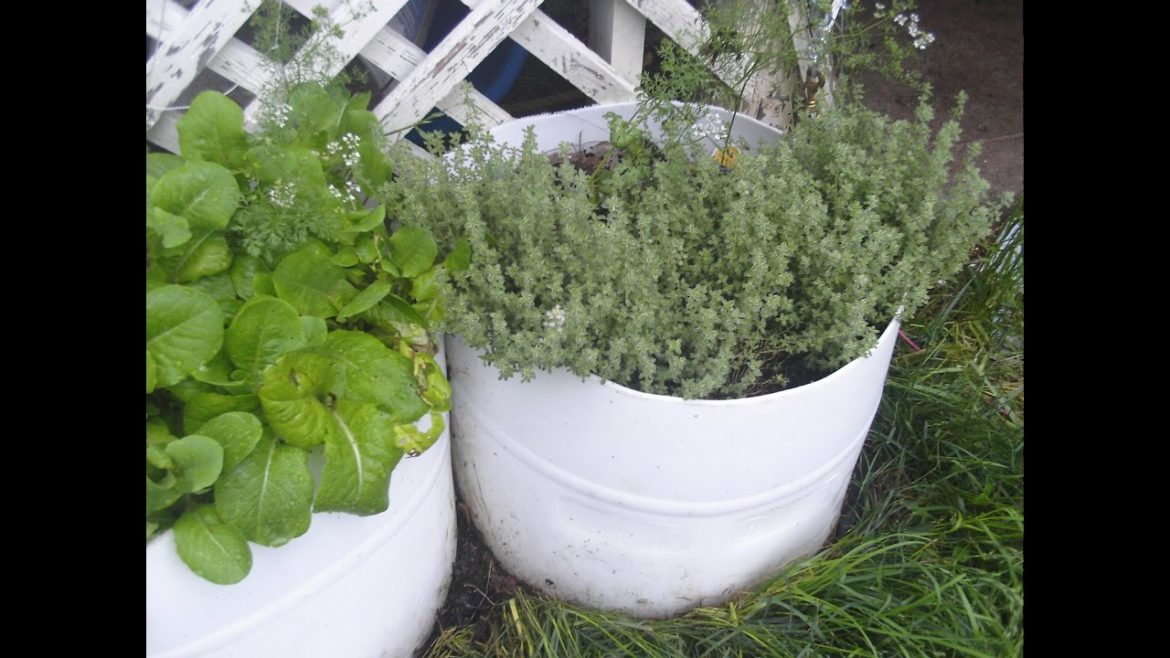 Half Barrel Container Garden
