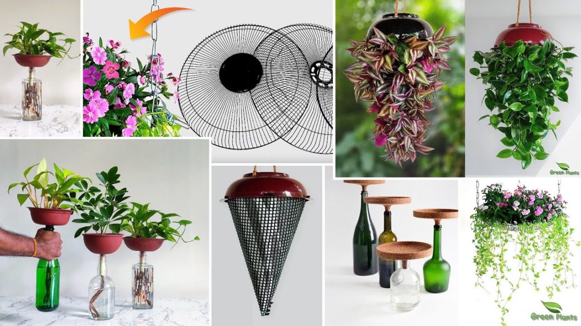 Amazing & New Ideas for Indoor Potted House Plants with Easy Maintenance-Indoor Plants//GREEN PLANTS Amazing & New Ideas for Indoor Potted House Plants with Easy Maintenance-Indoor Plants//GREEN PLANTS