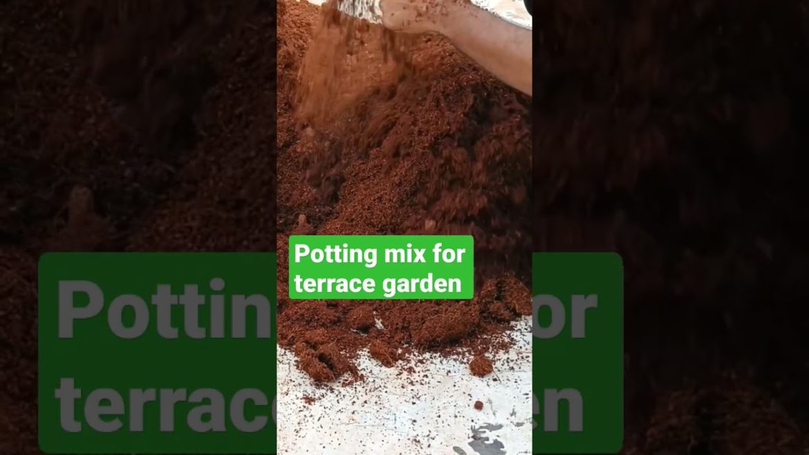 How to prepare potting mix || terrace garden || gardening || beginners guide || video link in descri