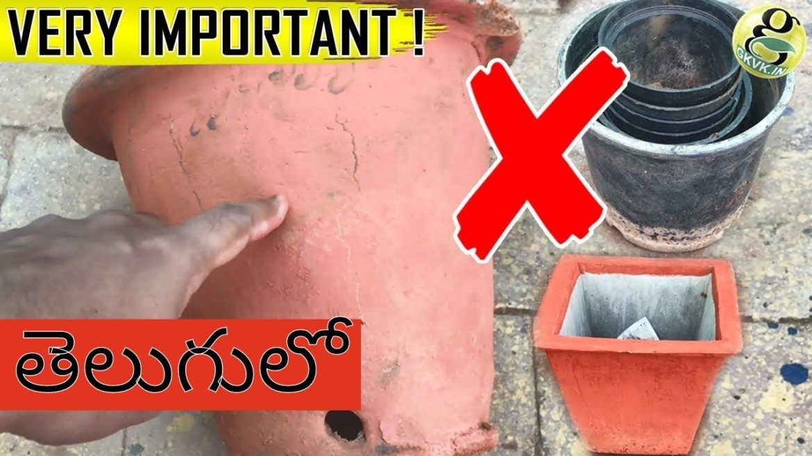 తెలుగులోContainer Choice in Gardening | Useful Pot Selection Tips - By GARDEN TIPS TELUGU