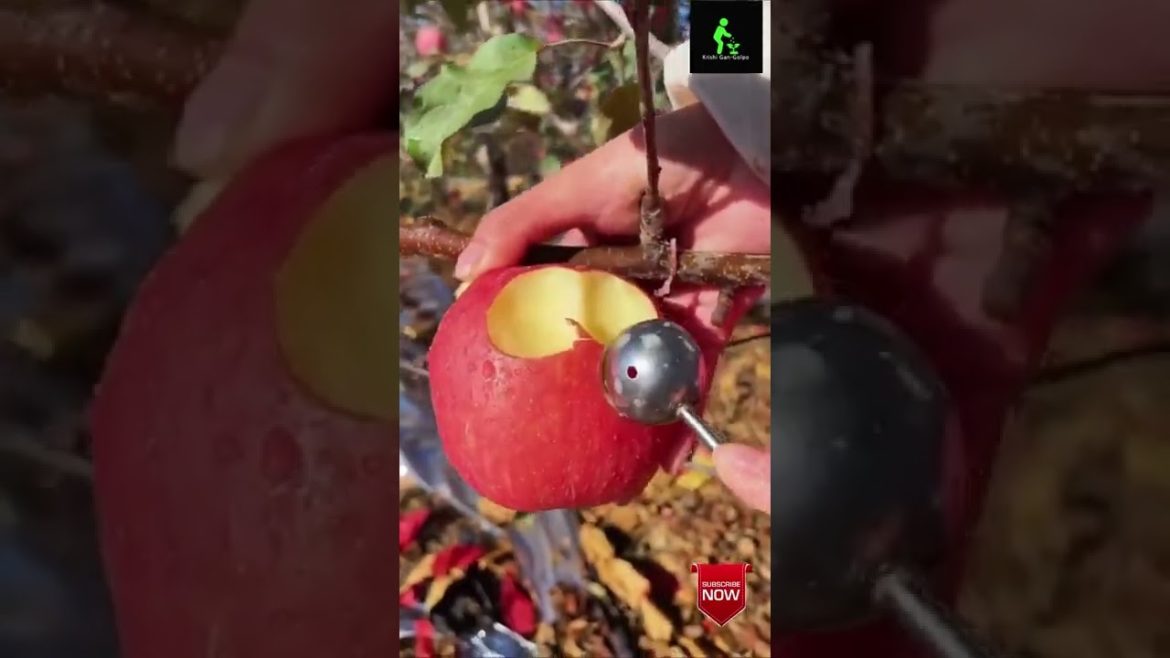 Winter Fruits & Vegetables 2022 | Fresh Fruits #shorts #agriculture Winter Fruits & Vegetables 2022 | Fresh Fruits #shorts #agriculture