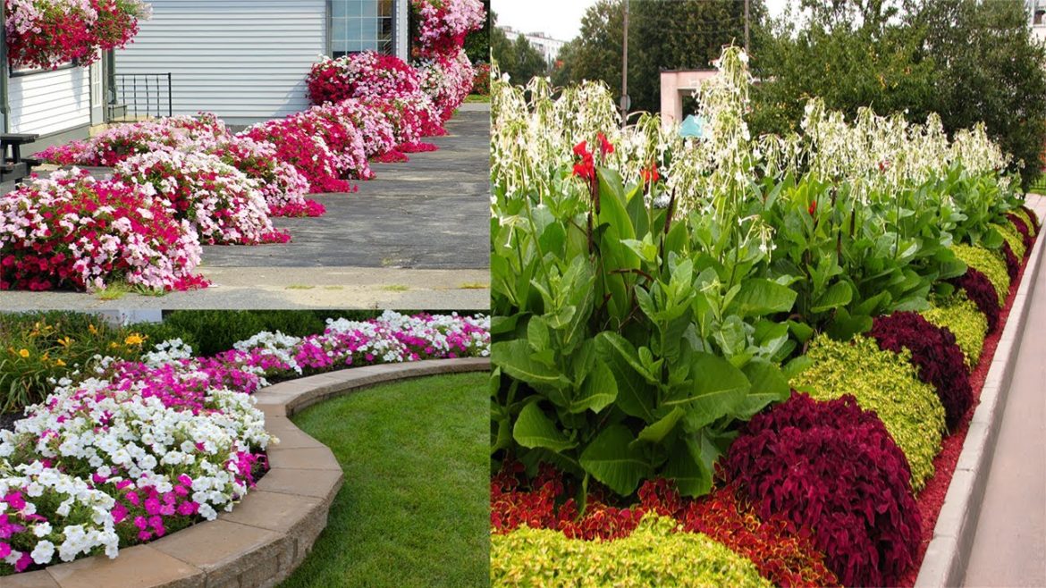 Small Front Yard Landscaping Ideas Low Maintenance