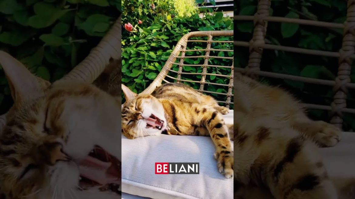 BELIANI - Garden Set LAURETO Design Idea