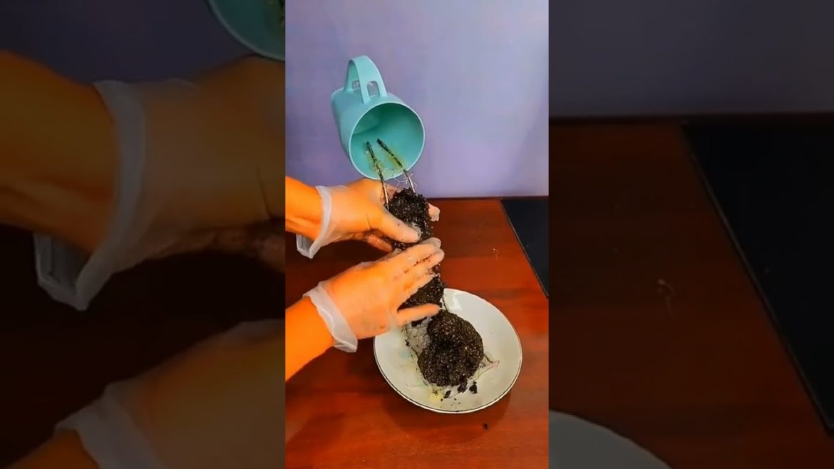 Gardening hack #shorts #gardenlife #viralshorts