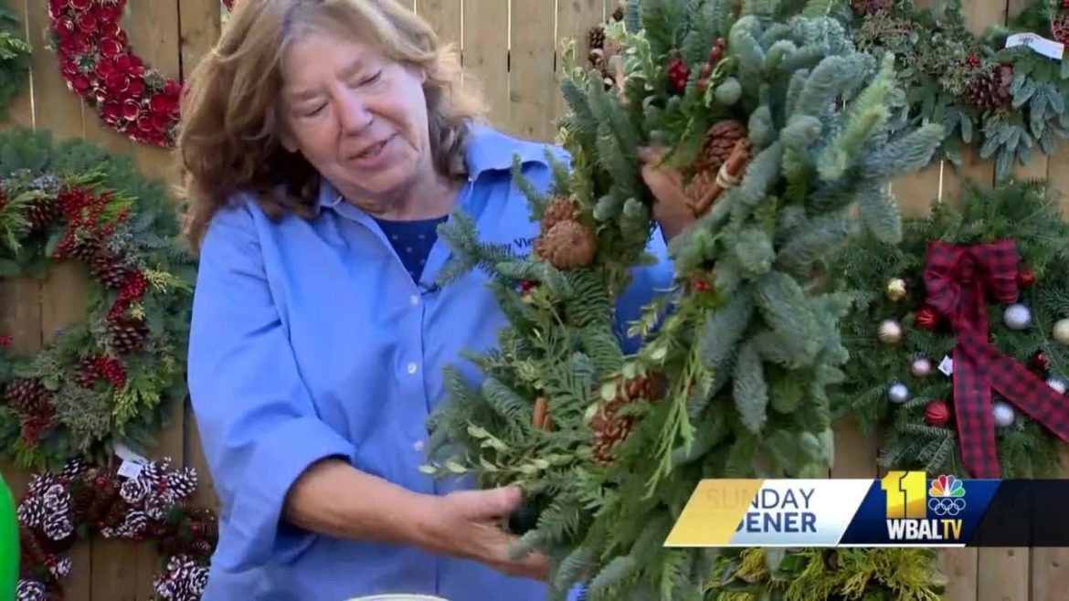 Sunday Gardener: Tips for real wreaths and holiday decorations this season Sunday Gardener: Tips for real wreaths and holiday decorations this season
