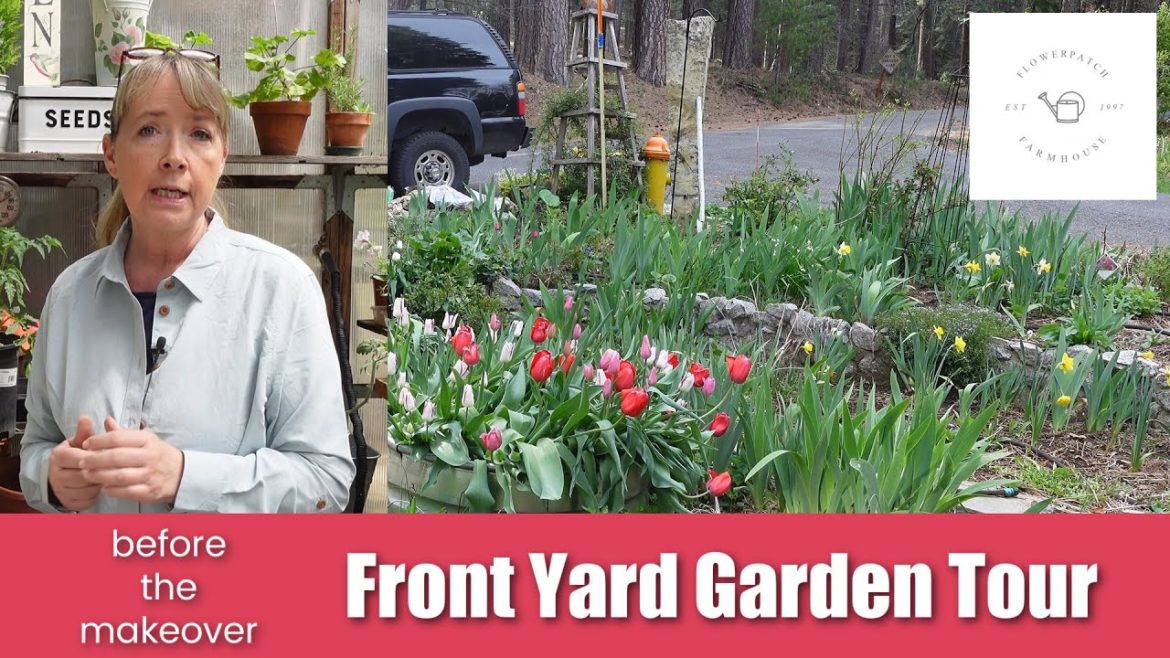 Front Yard Garden Tour | the Beginning! Front Yard Garden Tour | the Beginning!