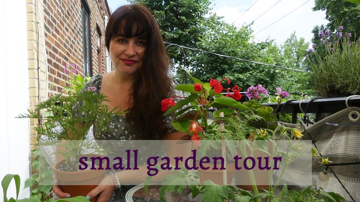 A detailed tour of my urban container garden (2020)