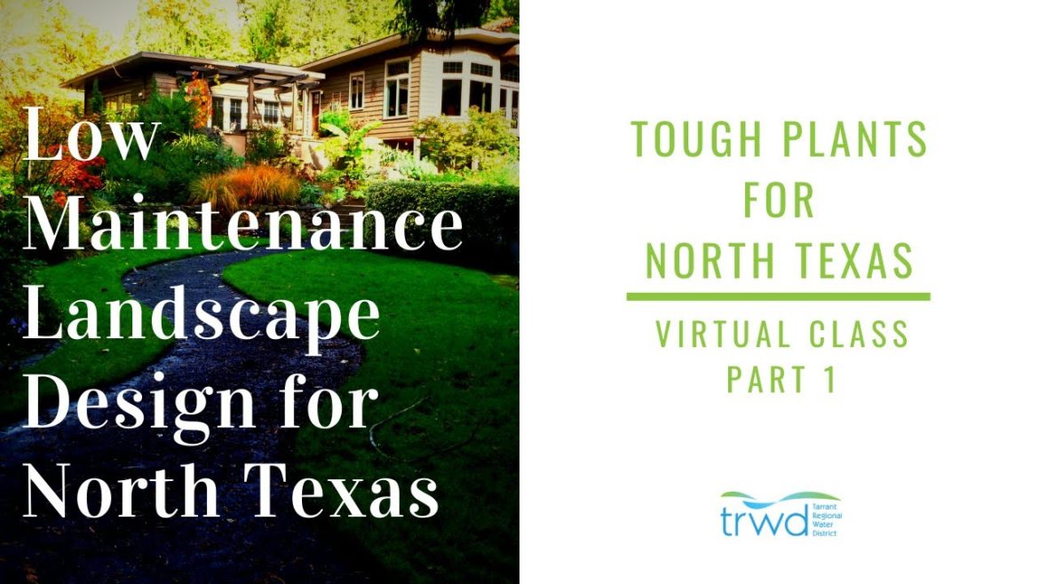 Tough Plants for North Texas Part 1: Low Maintenance Landscape Design