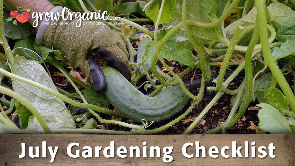 July Gardening Checklist: 15 Tips to Keep Your Organic Garden Going in the Dead of Summer July Gardening Checklist: 15 Tips to Keep Your Organic Garden Going in the Dead of Summer