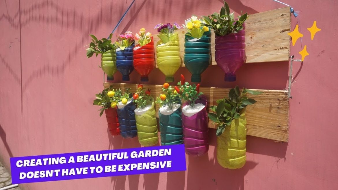 Creating a beautiful garden doesn't have to be expensive