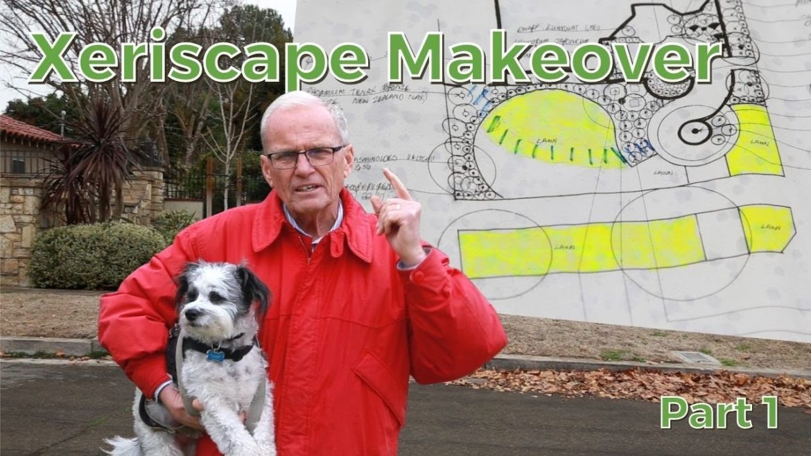 Xeriscape Front Yard Makeover (Step 1: Landscape Design)