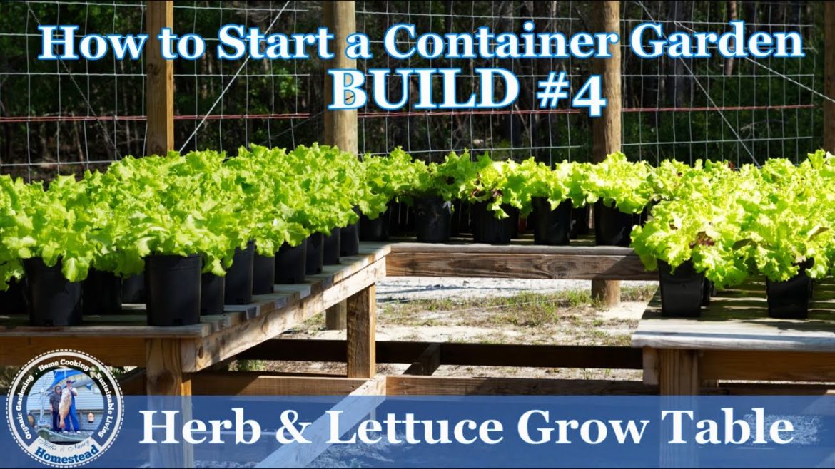 How to Start a Container Garden #4 (BUILD) Herb & Lettuce Grow Table How to Start a Container Garden #4 (BUILD) Herb & Lettuce Grow Table