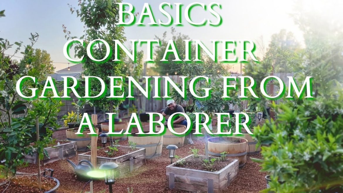 BASICS CONTAINER  GARDENING FROM A LABORER #GARDENING101 #CONTAINERGARDENING