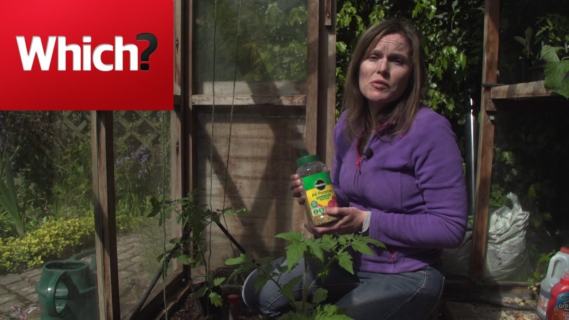 Vegetable Gardening jobs for May - Which? Gardening