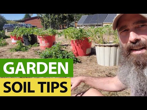 What My “UnRegistered” Garden Soil Looks Like What My "UnRegistered" Garden Soil Looks Like