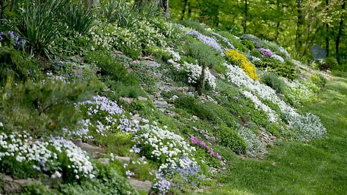 Amazing 30 Hillside Garden Design Ideas - Garden Design Ideas