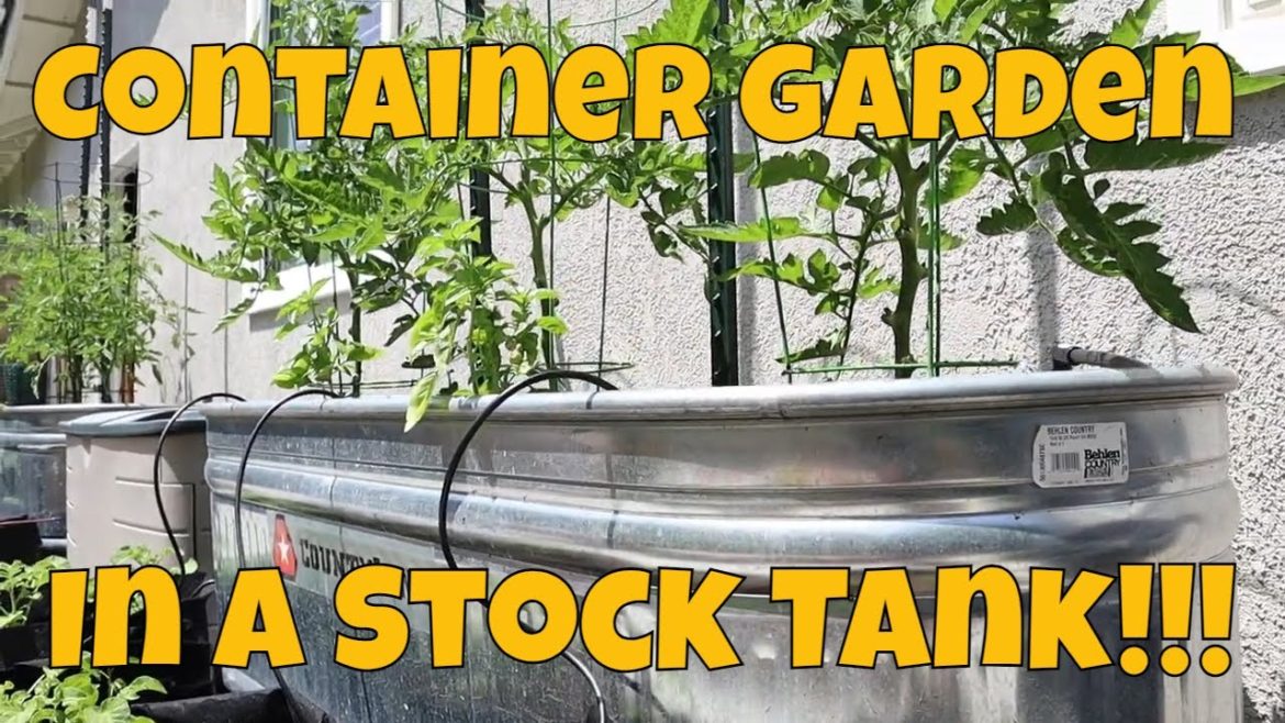 Stock Tank Container Garden - Everything You Need To Know