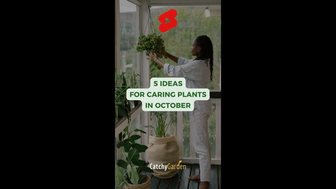 5 Ideas For Caring Plants In October 🌻🪴🌱 // #short #shorts