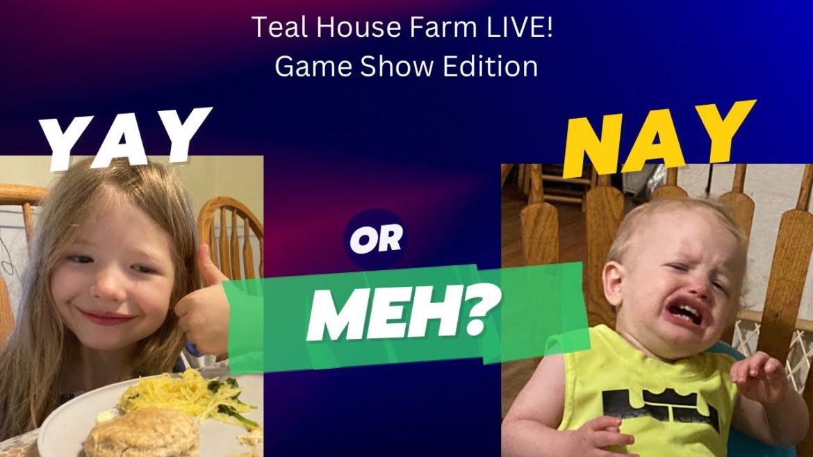 LIVESTREAM 10-3-22 | Hacks, Myths, and “What On Earth” Homestead Trends!