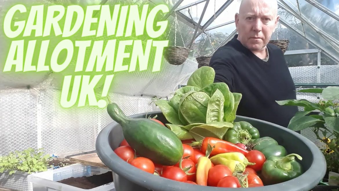 Gardening Allotment UK [Grow Vegetables At Home ]