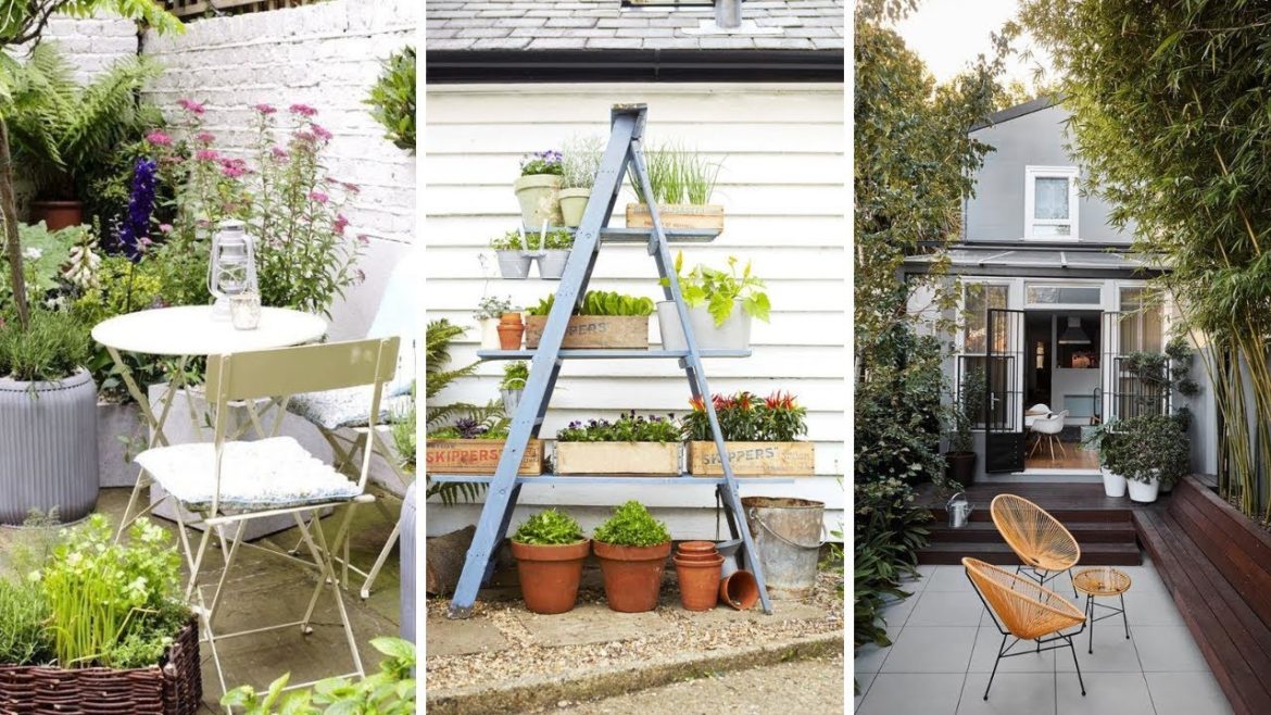 10 Small Courtyard Garden Ideas
