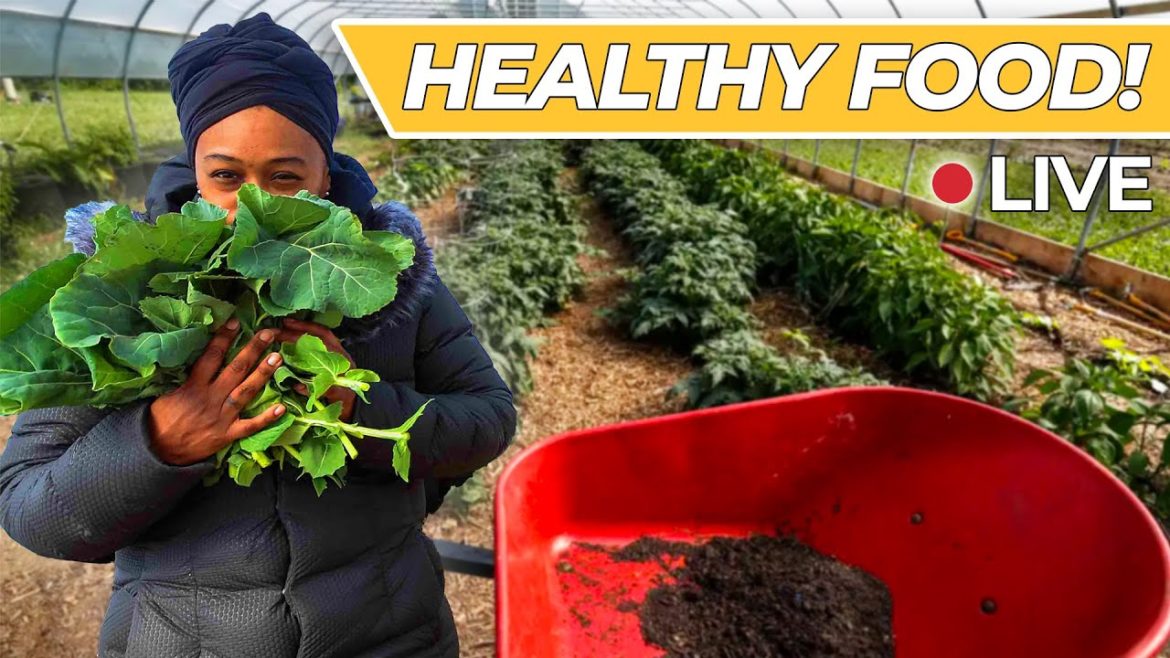 LIVE Tour: Lawrence Community Gardens!