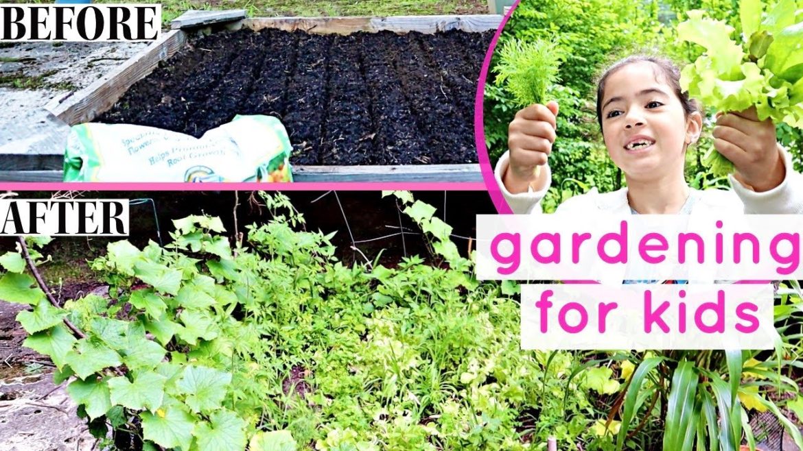 HOW TO START A GARDEN | Gardening for kids HOW TO START A GARDEN | Gardening for kids