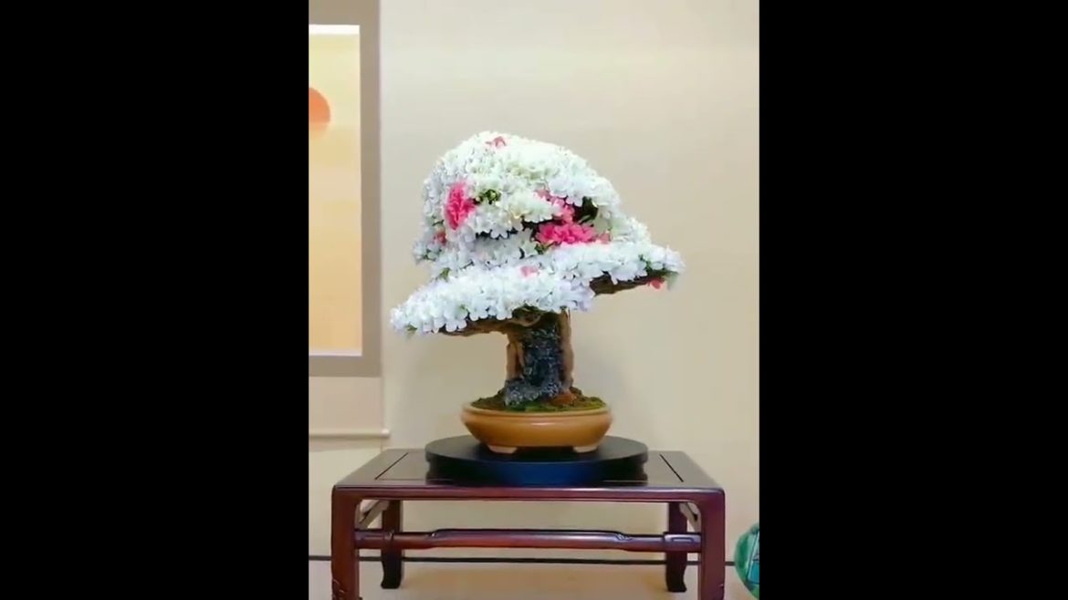 Home Decoration – Business.Lab – The Sitka Channel Home Decoration - Business.Lab - The Sitka Channel