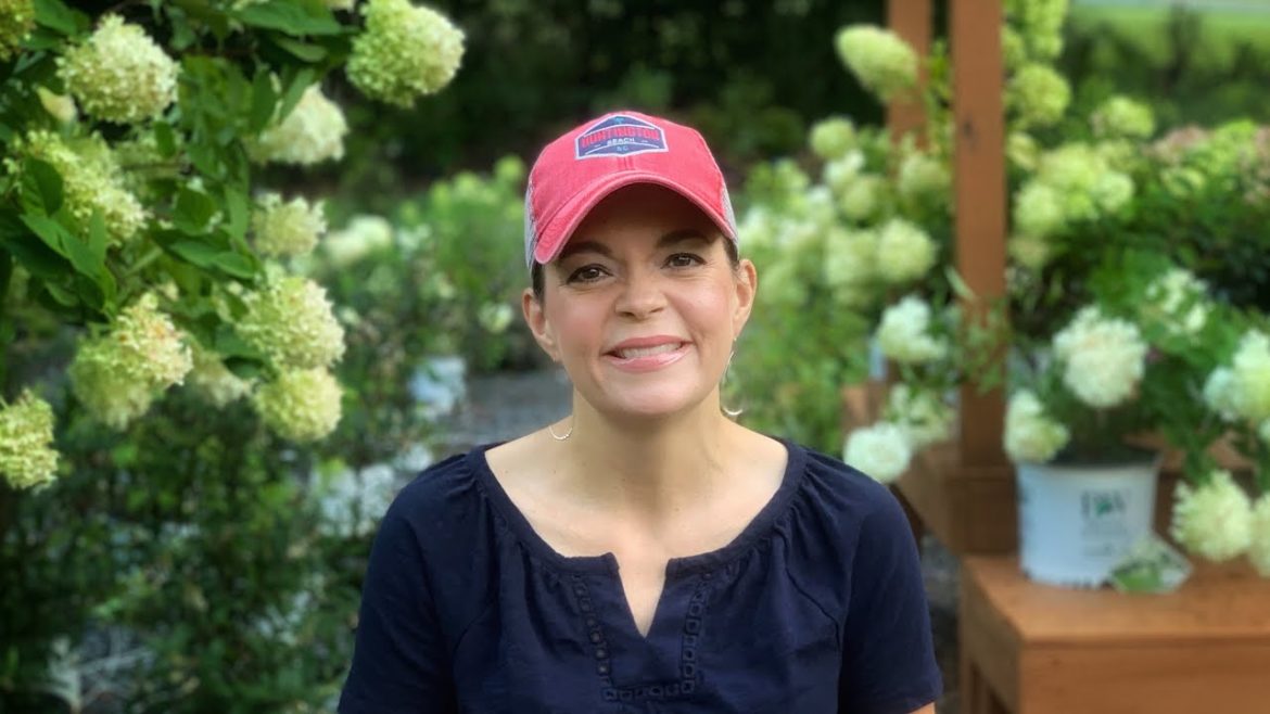 Gardening Tips & Weekly Nursery Tour // Gardening with Creekside