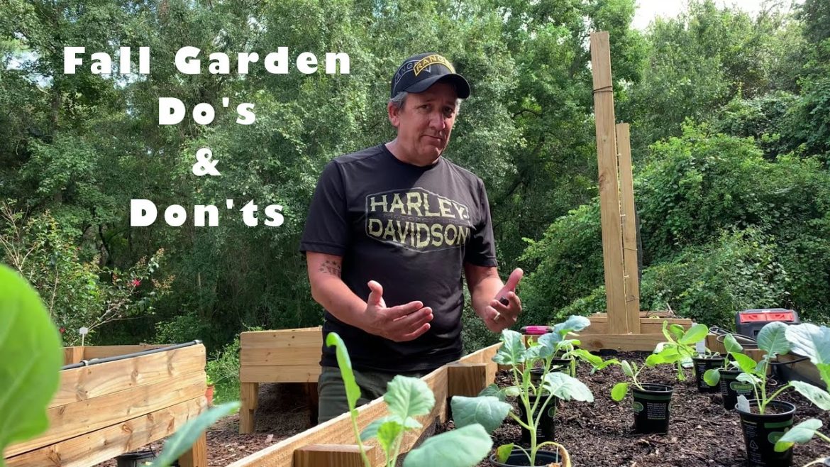 Fall Garden tips Do's And Don'ts. Early fall vegetable planting still comes with challenges.