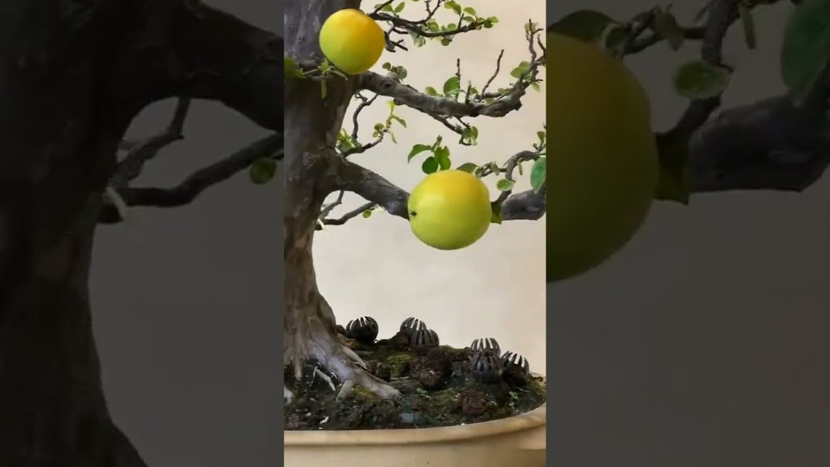 Home Decoration - Business.Lab - The Sitka Channel