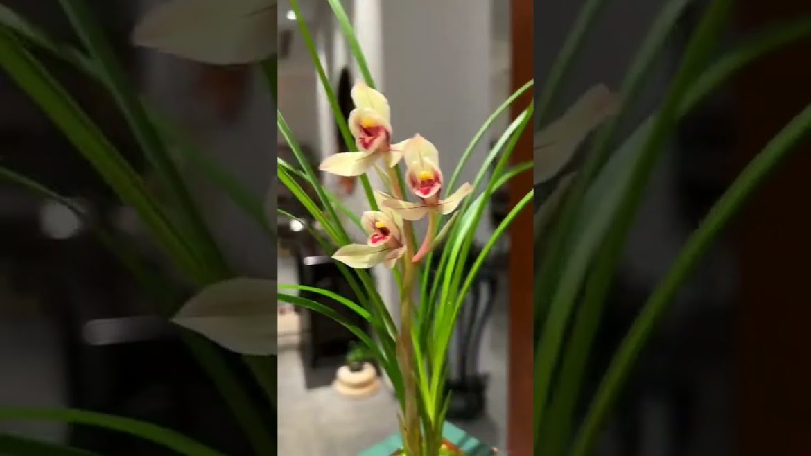 Home Decoration - Business.Lab - The Sitka Channe #003