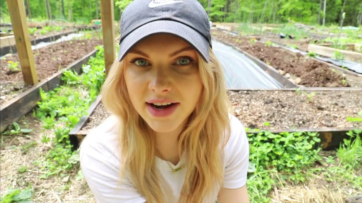 Building an Easy DIY Potting Bench for My Garden | Vegetable Gardening for Beginners Building an Easy DIY Potting Bench for My Garden | Vegetable Gardening for Beginners