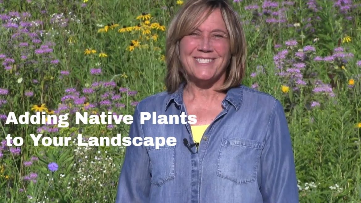 Creating a Natural Landscape Using Native Plants Creating a Natural Landscape Using Native Plants