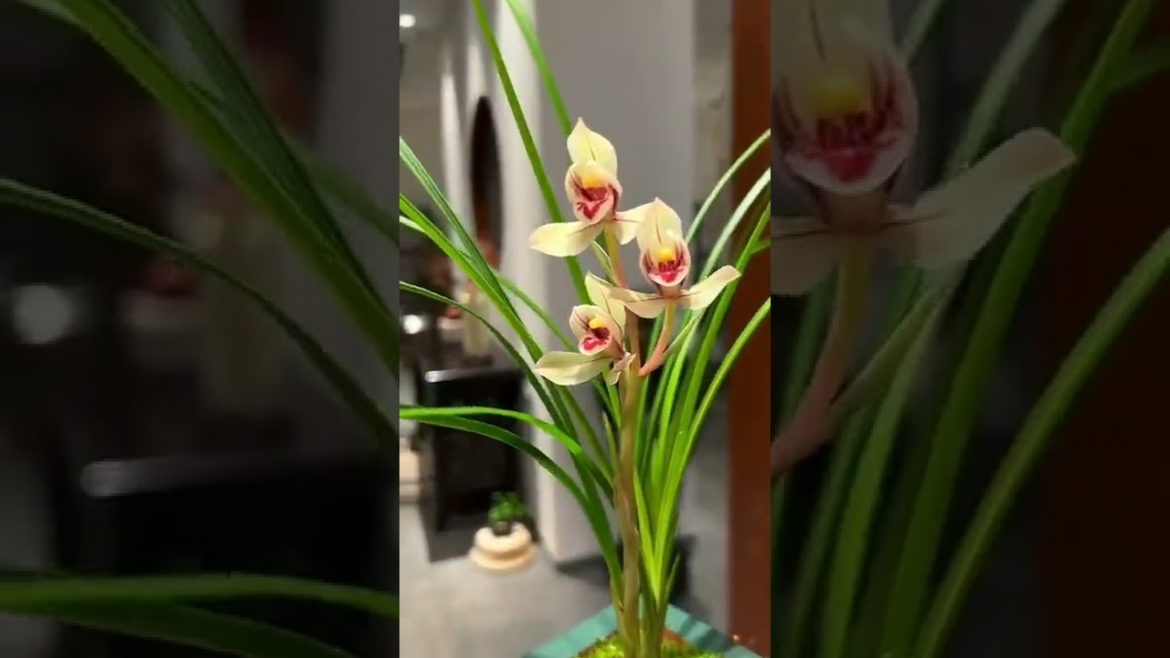 Home Decoration - Business.Lab - The Sitka Channel